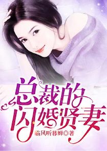 张丹枫小说