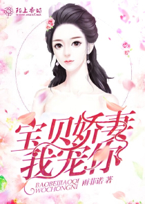 我的校花老婆有几部小说