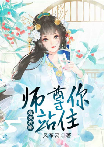 师士传说续集碎羽