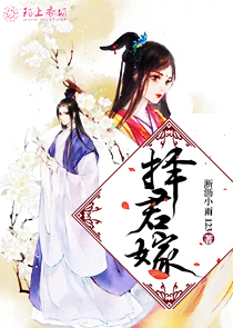 历天宇与邹小米的小说