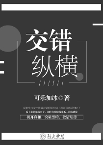 类似大旅行家小说