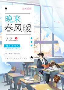 系统让我去算命