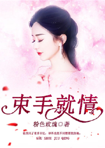 小丁猫