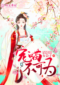 宠妻无度书包网