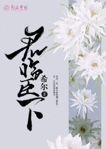 寂寞琉璃花未开