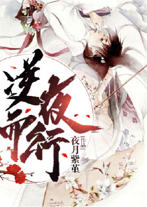 类似武打小说小说