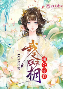 韩娱之专属小精灵