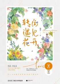 神奇宝贝之羁绊