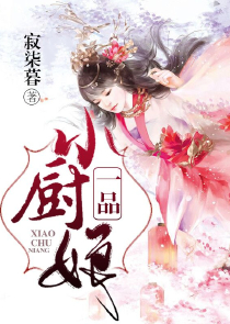 穿越大清初年