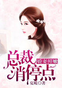 何以默笙箫电视剧全集
