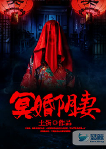 男主是鹰眼的小说