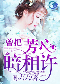 男主是律师的言情小说