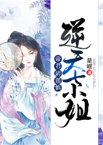 召聘娘娘全文阅读