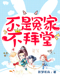 官居一品之类的小说
