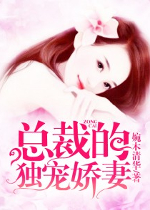 重生追美记