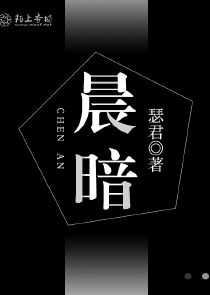 在市长家搞定他夫人