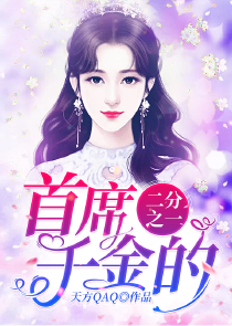 小说农门女婿不好当