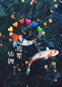 时光的匆匆