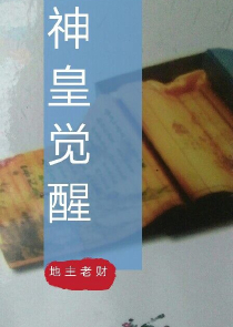 4k小说阅读网