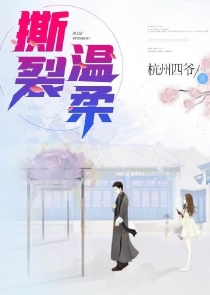 主人公有很多老婆的小说