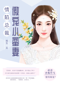宠妻无度txt下载