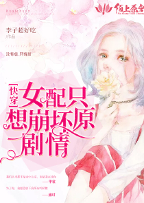 女主叫夏子安的穿越小说