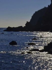 我吃西红柿巅峰