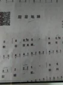 企鹅乐园投注网下载