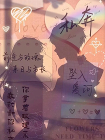 新新电影理论