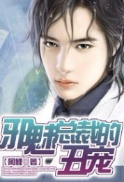 浅月小说