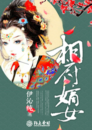 2011最新《灰姑娘的故事3》DVD中英双字