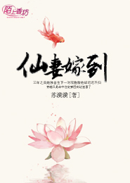 女金融师的次贷爱情