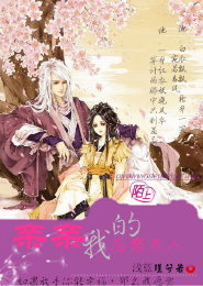 KO和美人师兄