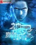 天才弃少完结版