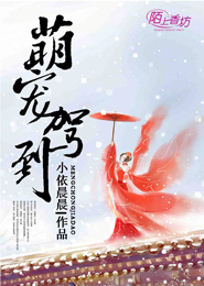 黑幫大佬與我的365日
