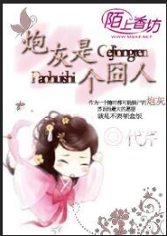 电视剧小说谜案剧情