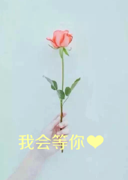 修真界吉祥物