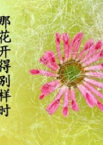 陆少，夫人又在作妖了