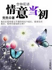 2013经典言情小说推荐