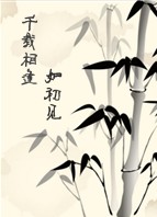 国民未婚夫
