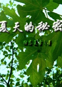 仙家代理人